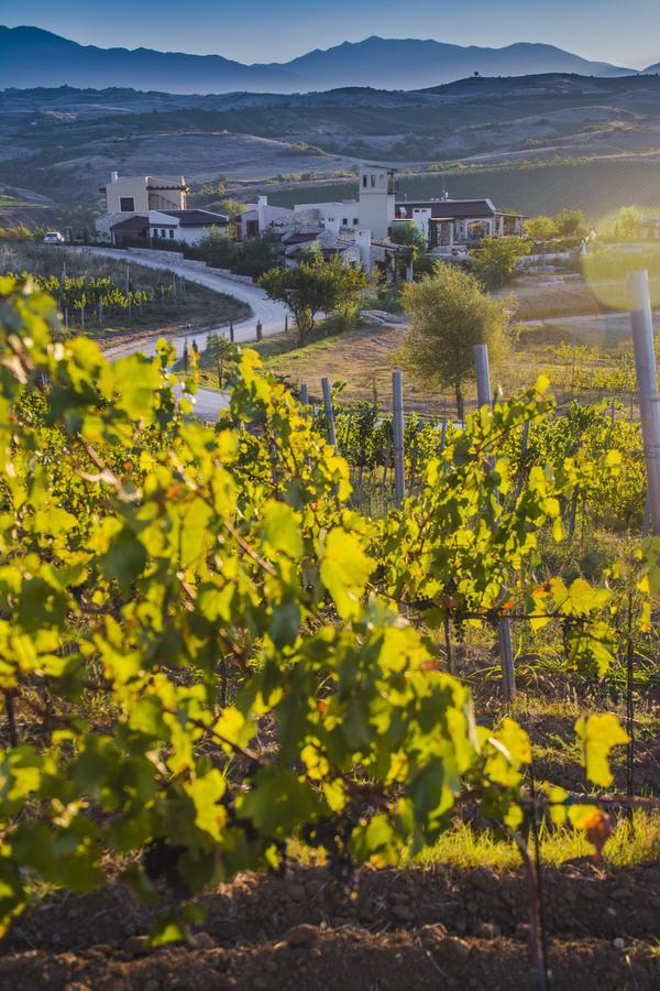 Zornitza Family Estate Relais & Chateaux Melnik  Luaran gambar